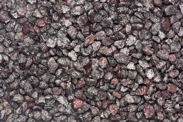 Bakgrund Textur Torkade Cochineal Insekter Som Används För Att Göra Royaltyfria Stockfoton