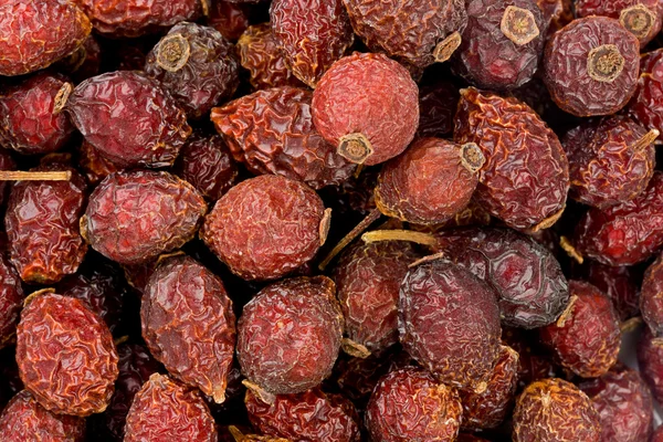 Escaramujo (Rosa canina ) — Foto de Stock