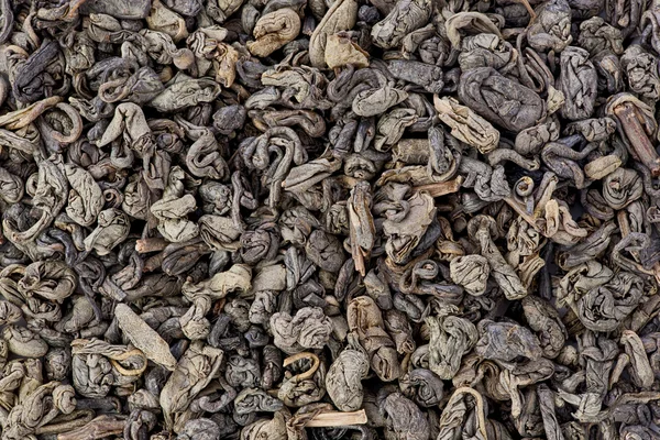 Herbata Gunpowder — Zdjęcie stockowe