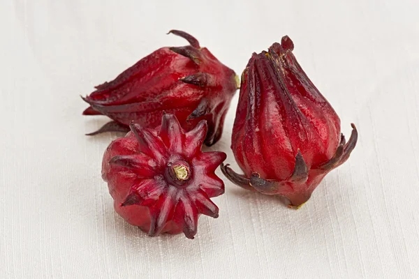 Roselle (Hibiscus sabdariffa) — Φωτογραφία Αρχείου