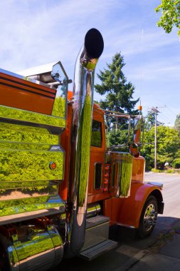 Aracın krom yüzeyindeki yeşilliğin yansıması. Gerçek bir Amerikan kamyonu.. 