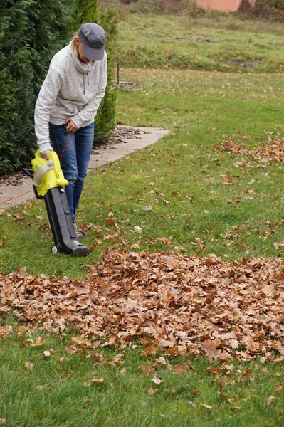 Eszköz Nagyon Hasznos Őszi Kertészkedés Kaparja Levelek Segítségével Egy Fúvó — Stock Fotó
