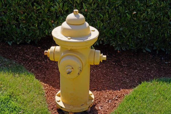Фрагмент Саду Жовтий Пожежний Гідрант — стокове фото