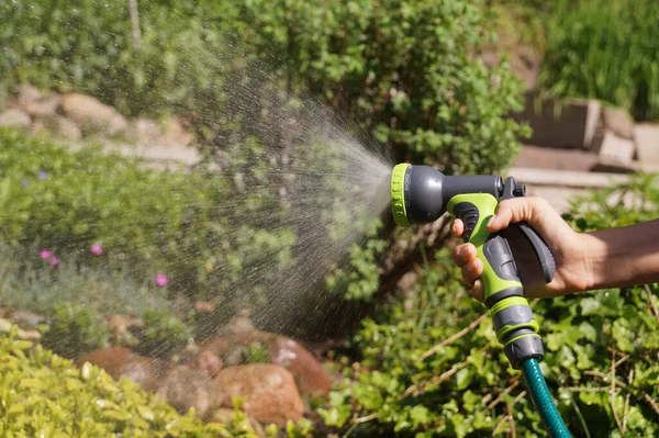散水銃で庭の作物に水をやる 陽射しの強い水の流れ — ストック写真