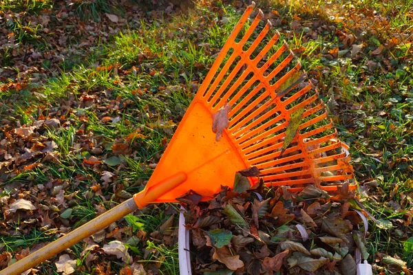 Rakes Och Blad Den Hårda Höstsolen Höstträdgårdsarbete — Stockfoto