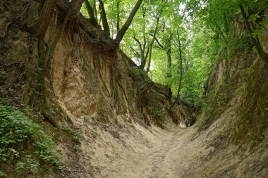 Loess Vadisi, Polonya 'nın Sandomierz kentindeki St. Jadwiga Landmark geçidi olarak adlandırılır.. 