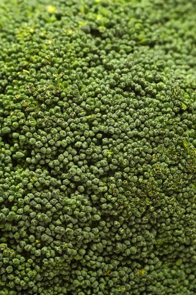 Sebze yakın çekim. Brokolinin yüzeyinde geniş bir yakın çekim..