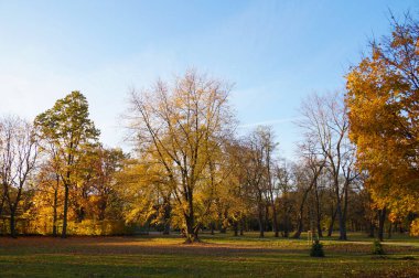 Sonbahar parkının manzarası batan güneşle aydınlanıyor..