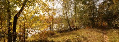 Sonbahar manzarası. Park manzarası manzarası arka planda bir gölet ile.