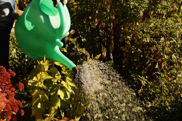 Garden Work Watering Plants Watering Can — Stock Photo, Image