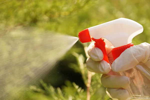 噴霧器を使用して植物を噴霧または噴霧する 太陽が強調する液体の流れ — ストック写真