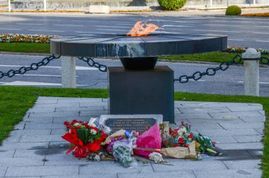Madrid, İspanya - 01 Kasım 2020: İspanya 'da Covid-19 tarafından öldürülen anıt, Plaza de la Cibeles' de, belediye binasının önünde