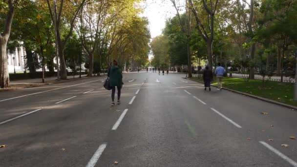 Пешеходы, одетые в маски, прогуливаются по Пасео дель Прадо, Мадрид, Испания — стоковое видео