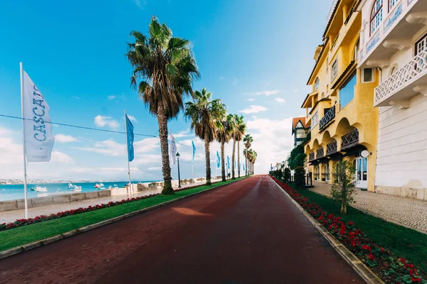 Beautiful street lined with palm trees in Cascais Portugal. Cascais is popular vacation spot for Portuguese and foreign tourists.