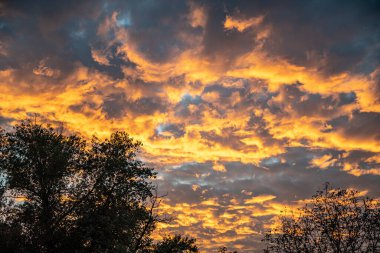 Akşam gün batımı. Sarı, altın, turuncu bulutlar Sonbahar akşamında.
