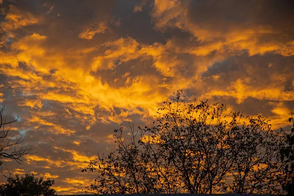 夕阳西下秋天的傍晚 橙色的云彩 — 图库照片