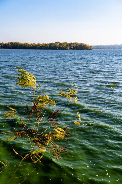 Осінній Пейзаж Парку Біля Річки Сонячний День — стокове фото