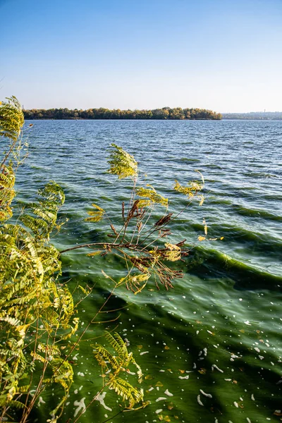 Осінній Пейзаж Парку Біля Річки Сонячний День — стокове фото