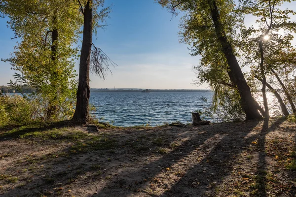 Осінній Пейзаж Парку Біля Річки Сонячний День — стокове фото