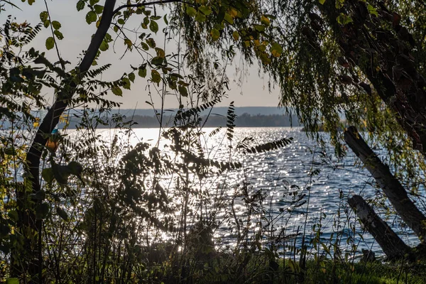 Paisaje Otoñal Parque Junto Río Día Soleado —  Fotos de Stock