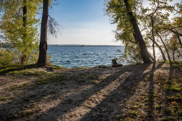 Осінній Пейзаж Парку Біля Річки Сонячний День — стокове фото