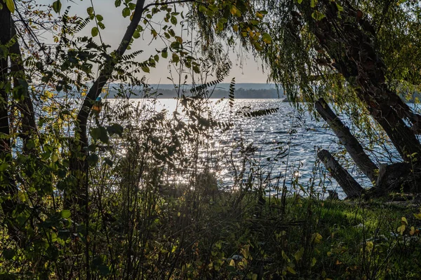 Őszi Táj Parkban Folyó Mellett Egy Napsütéses Napon — Stock Fotó