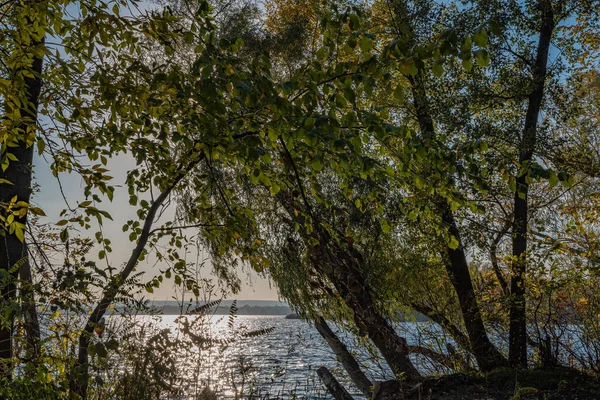 Podzimní Krajina Parku Řeky Slunečného Dne — Stock fotografie