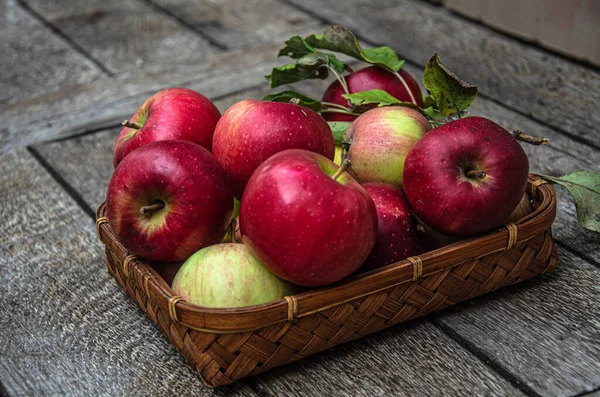 Harvest apples from the home garden in a wicker basket, on a wooden table.