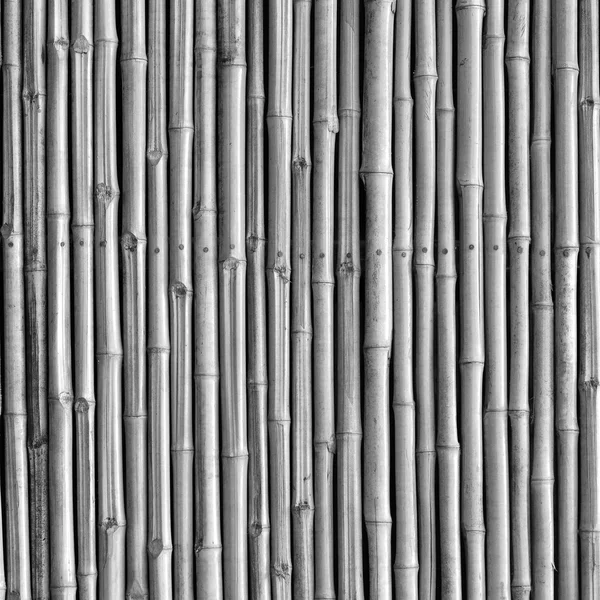 Cerca de bambu fundo — Fotografia de Stock