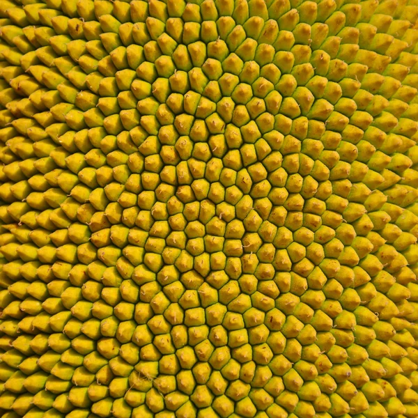 Cilt nefesi arka plan