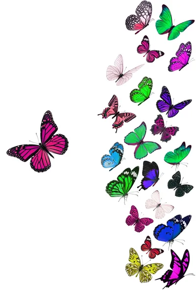 Gruppe fliegender Schmetterlinge — Stockfoto