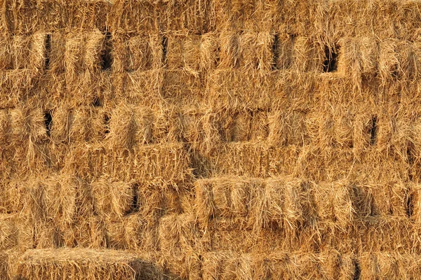 Stroh für die Kuh — Stockfoto