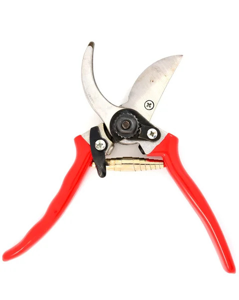 Red garden secateurs — Stock Photo, Image