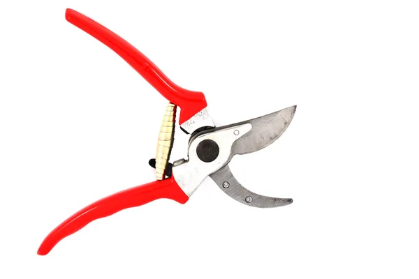 Red garden secateurs — Stock Photo, Image