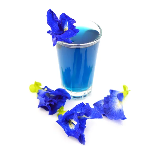 Butterfly ärt blomma drink — Stockfoto