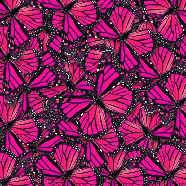 Pink butterfly — Stock Photo, Image