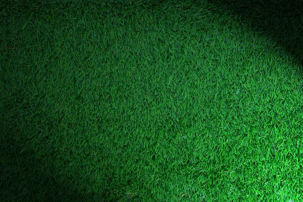 녹색 풀 텍스처 — 스톡 사진