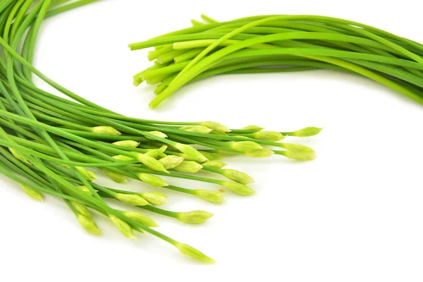 Garlic chives — Stock Photo, Image