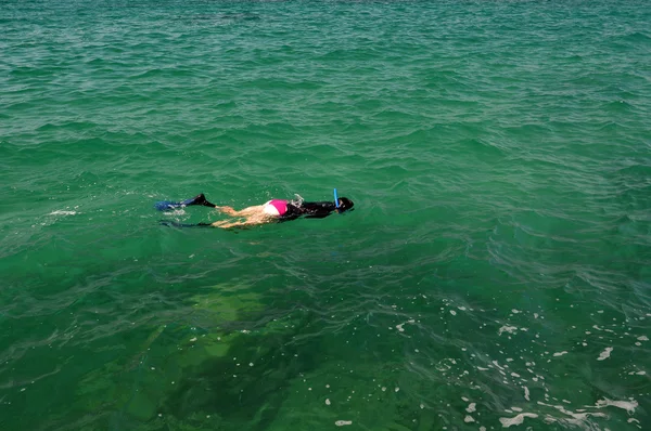 Lo snorkeling — Foto Stock