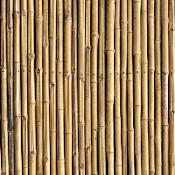 Recinzione di bambù sfondo — Foto Stock