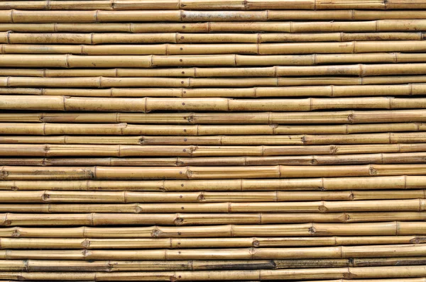 Cerca de bambu fundo — Fotografia de Stock