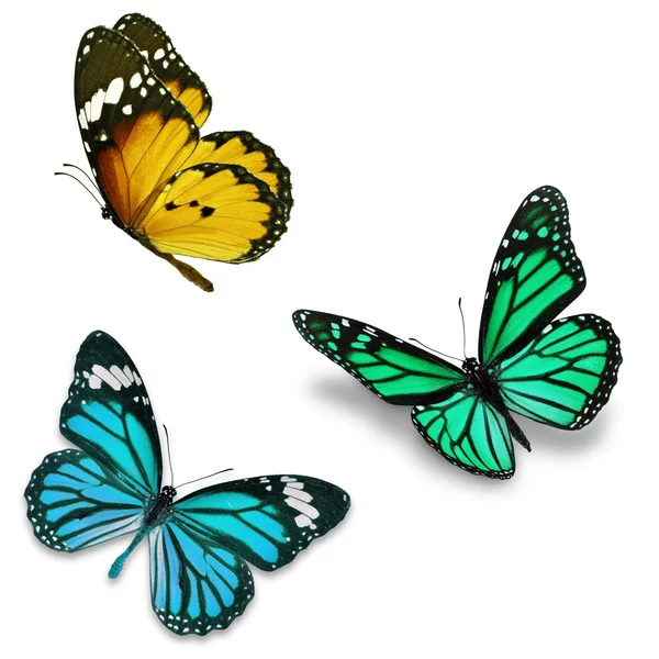 Tres mariposas coloridas — Foto de Stock