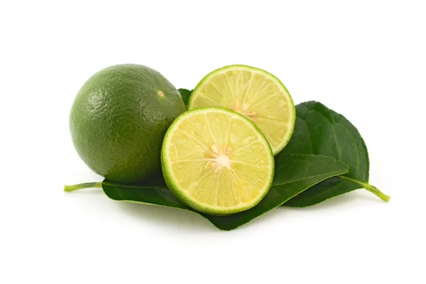 Lime frukt — Stockfoto