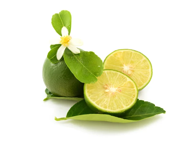 Lime fruit — Stock Photo, Image