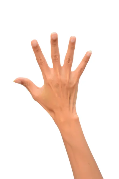 Kvinna hand — Stockfoto