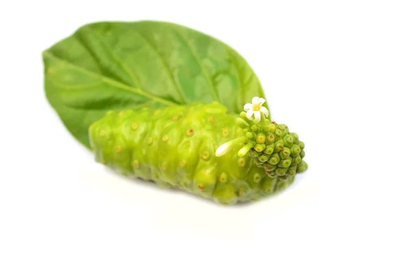 Groene Indiase mulberry geïsoleerd — Stockfoto