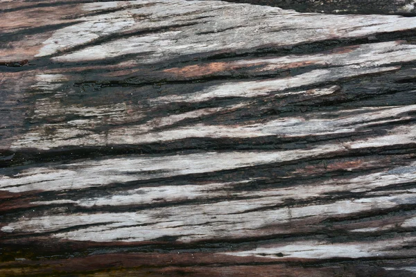 Wood Texture Background — Stock Photo, Image