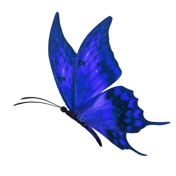 Blue butterfly flying — Stock Photo, Image