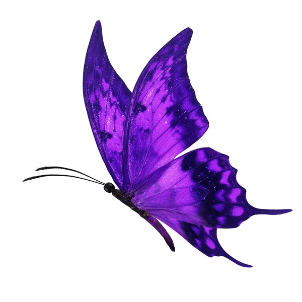 Fialový motýl létající — Stock fotografie