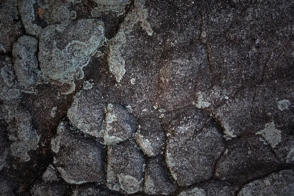 Grunge pietra texture — Foto Stock